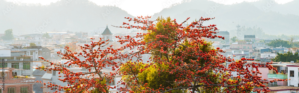 Shiqiao Shawan Ancient Town, Panyu District, Guangzhou City, Guangdong Province, China Shiqiao Shawan Ancient Town, Panyu District, Guangzhou City, Guangdong Province, China
