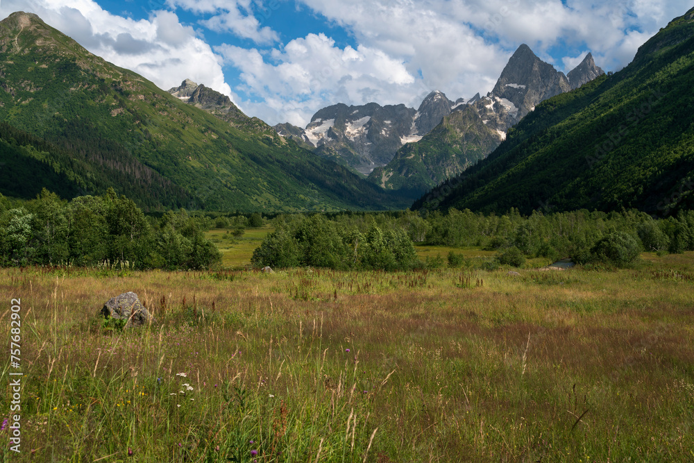 View of the floodplain of the Gonachkhir River in the northern foothills of the Caucasus Mountains near the village of Dombay on a sunny summer day, Karachay-Cherkessia, Russia