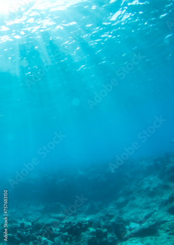 underwater view of the sea © Daphne