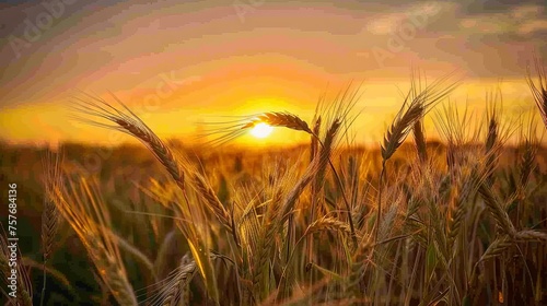 Golden Hour Rural Sunset Landscape Stock Photo