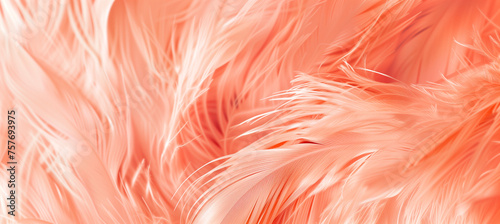 Close-up abstract macro of a trendy peach feather texture, creating a soft, apricot-colored and fluffy background, great for concepts of elegance, delicacy, and nature-inspired designs.