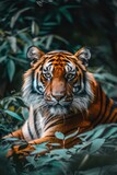 Breathtaking tiger in the jungle photo for stunning phone wallpaper