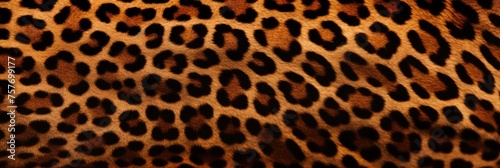 Real Leopard Skin