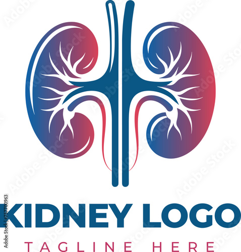Kidney Logo Template Design Vector illustration, Urology Logo Stock Vector, Healthcare human kidney organ concept.