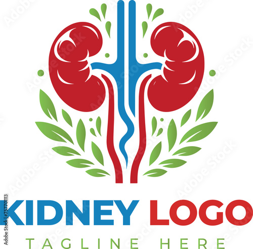 Kidney Logo Template Design Vector illustration, Urology Logo Stock Vector, Healthcare human kidney organ concept.