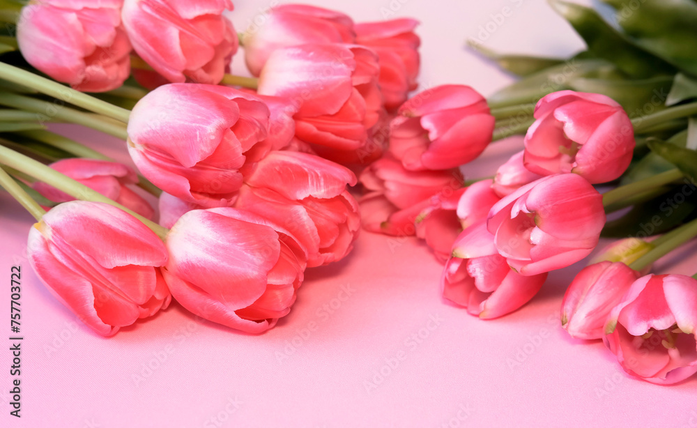 Bouquet of pink tulips on pink background, top view. Mother's Day, Valentine's Day. Birthday celebration concept. Greeting card