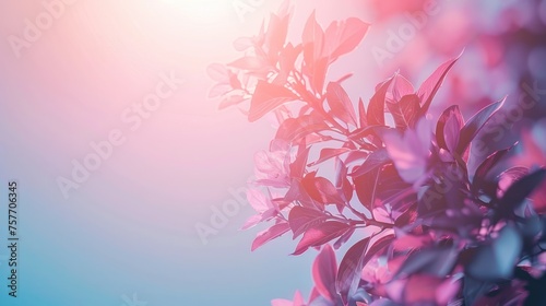 gradient from pink to purple. Conveys romance and cuteness.