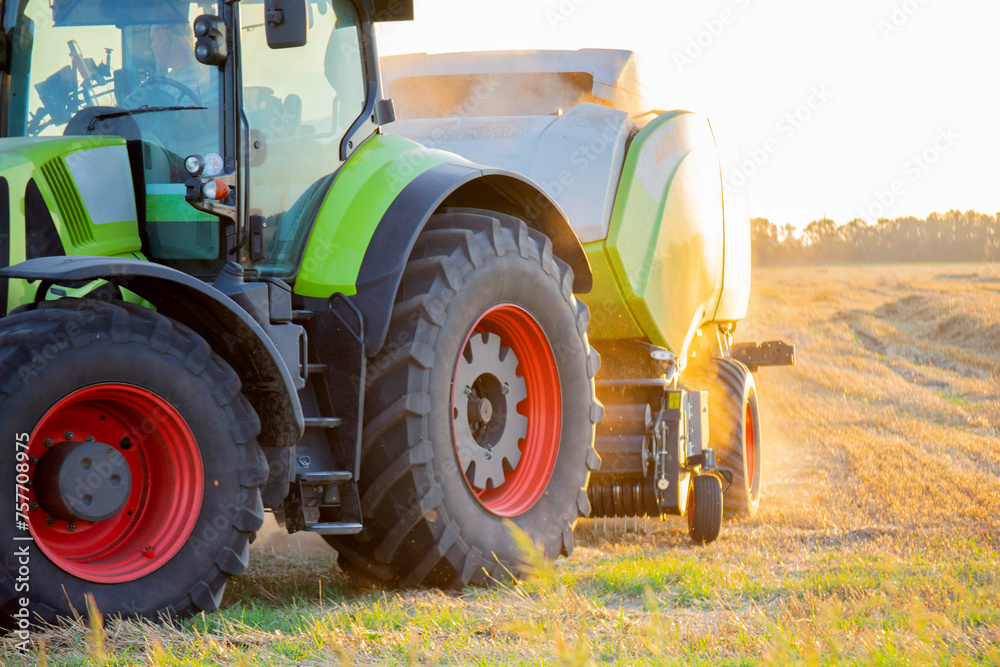 Obraz premium Combine harvester pressing straw from field into bales. Sunny summer evening. Field with bales of pressed wheat. Lots dust. Tractor with and driver and big wheels driving on field. Agricultural