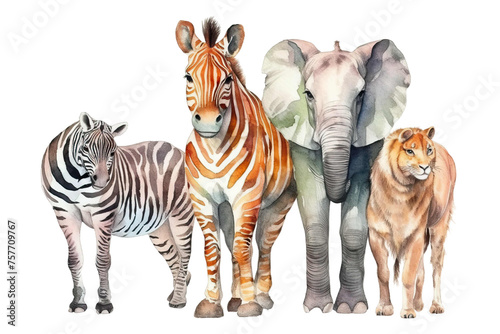 Zebra elephant giraffe Watercolor illustration tiger