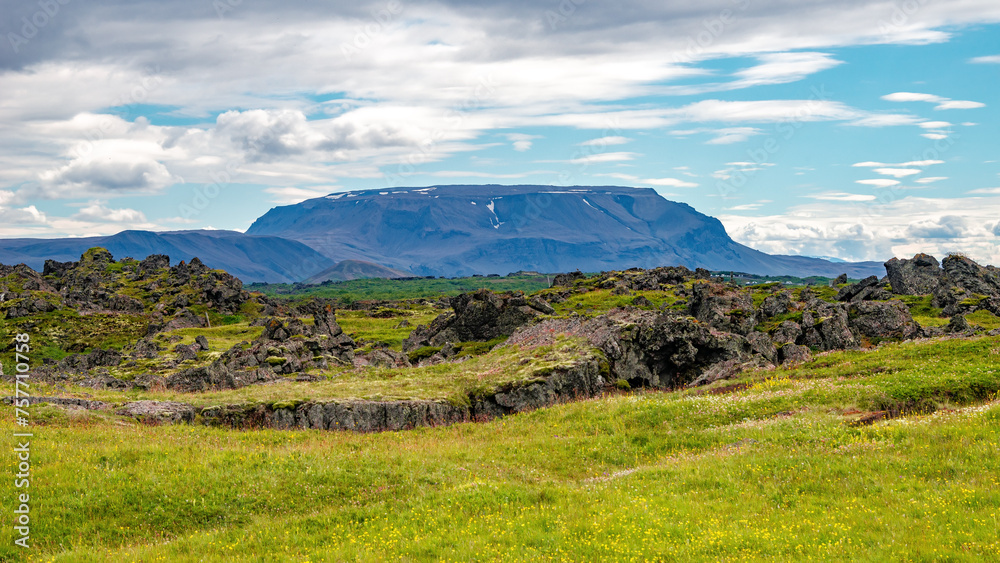 Panorama with hiking trail near Storagja and Grjotagja cracks, volcanoes, Iceland. Old lava field covered by moss and tundra vegetation with flowers