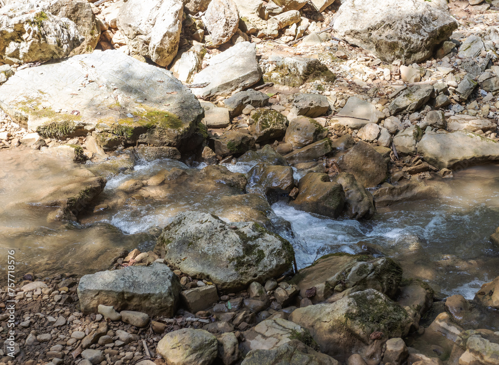 Morning on a mountain river, awakening in nature summer sunny mood.