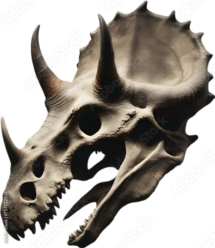 Silhouetted Dinosaur skull clipart. photo