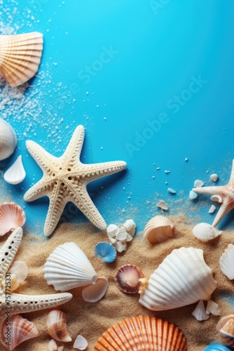 Beach scene with starfish and shells on sand