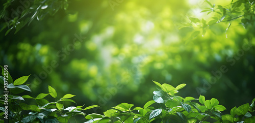 Serene image capturing the ethereal beauty of sunlight peeking through vibrant green leaves, invoking a sense of calm and rejuvenation in nature