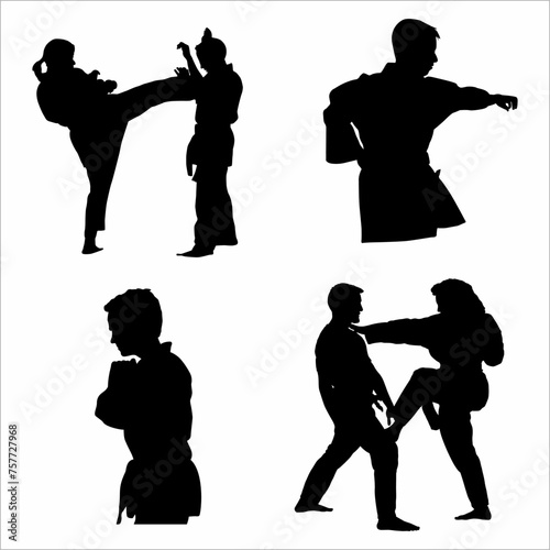 Collection of martial arts silhouettes