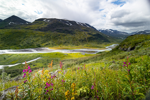 A beautiful Rapa river landscape from above with native flowers blooming on the hillside. Summer landscape of Sarek National Park, Sweden. Mountain river in Northern Europe.