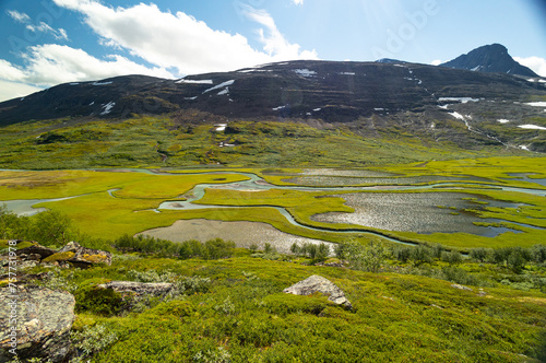 A beautiful Rapa river Rapadalen landscape with native plants. A mountain river from above in Sarek National Park, Sweden. Summer sceney of Northern Europe. photo