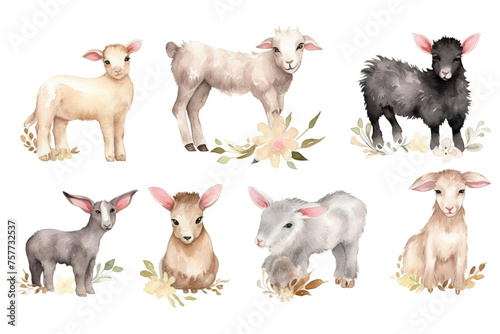 Young Watercolor animal cute Goat donkey domestic sheep babies easter baby animals cow farm