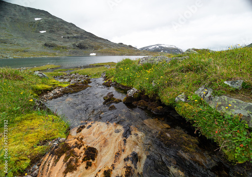 A small, rocky mountain stream in Sarek National Park, Sweden. A beautiful summer landscape with water flow in Northern Europe wilderness.