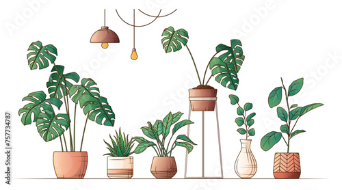 Vector illustration of monstera, haworthia, aglaonema. Composition of different potted plants. Hand drawn illustration of ficus plant. Interior, flower shop, home garden concept. 
