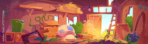 Abandoned destroyed farm barn inside with broken gardening tools, walls and door, haystack and sacks. Cartoon vector illustration of damaged old messy ranch shed indoor with garbage and cobweb.