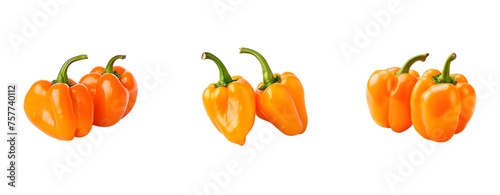 Collection of Habanero peppers isolated PNG photo