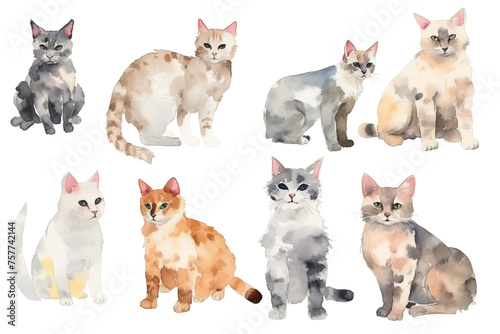 domestic Beautiful cute animals set white Watercolor cats background