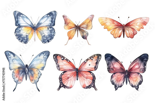 isolated butterflies hand watercolor drawn white illustrations background elements