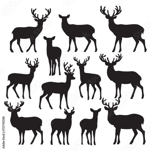 set of deer on the white background. deer silhouettes. Vector EPS 10. 