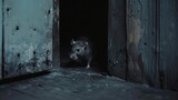 a rat behind the door, creepy situation
