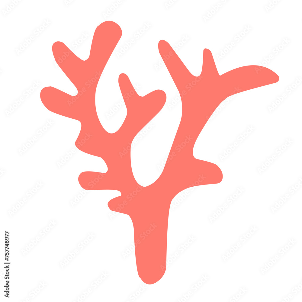 marine coral reef marine coral reef