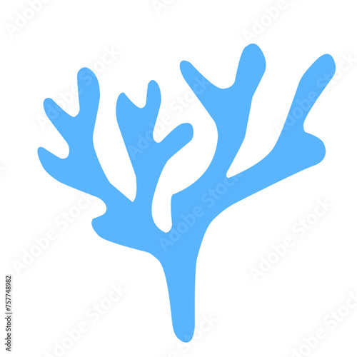 marine coral reef