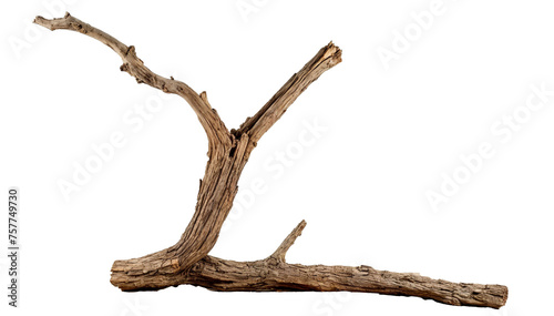 A thin, dry branch with a few knots and a few small branches