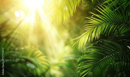 Tropical forest under a radiant sunrise