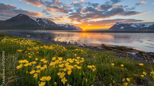 Wallpaper norway landscape nature of the mountains of Spitsbergen Longyearbyen Svalbard on a flowers polar day with arctic summer in the sunset 