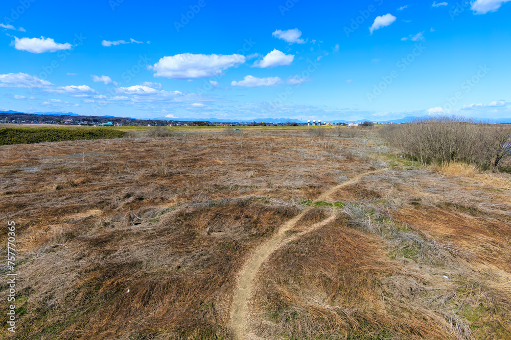Fototapeta premium 広大な葦原と雄大な富士山と玉作水門。日本国埼玉県、荒川河川敷にて。 2024年3月10日撮影。Vast reed fields and Majestic Mt. Fuji and Tamatsukuri sluice gate.At Arakawa riverbed, Saitama pref, Japan, photo by March 10, 2024. 