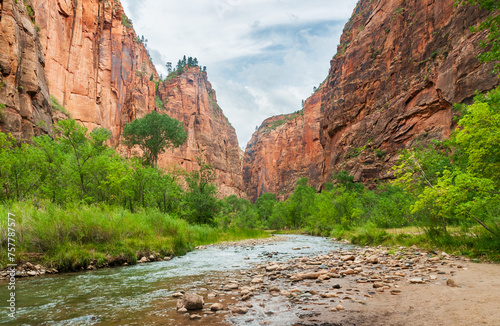 The Virgin River and its Tributaries at Zion National Park