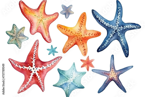 white Starfishes stars illustration vector set Colorful watercolor isolated background sea