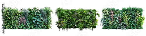 Collection of PNG. Green leaves of tropical plants bush (Monstera, palm, rubber plant, pine, bird's nest fern) isolated on a transparent background.
