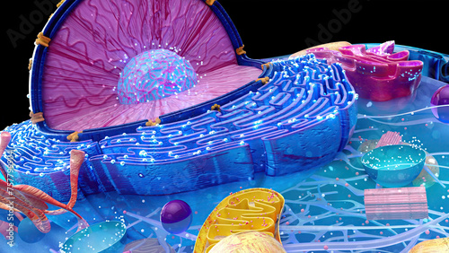 Abstract 3D illustration of the cell and the reticulum photo