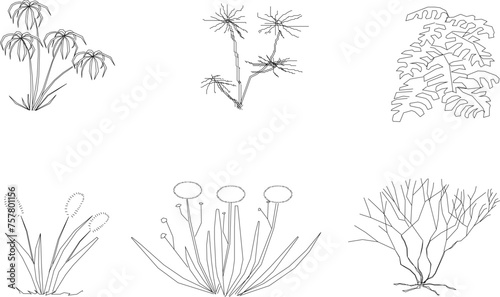 Vector sketch illustration of a collection of tree plants for completeness of the image