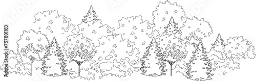 Vector sketch illustration of a collection of trees with shading to complete the image 