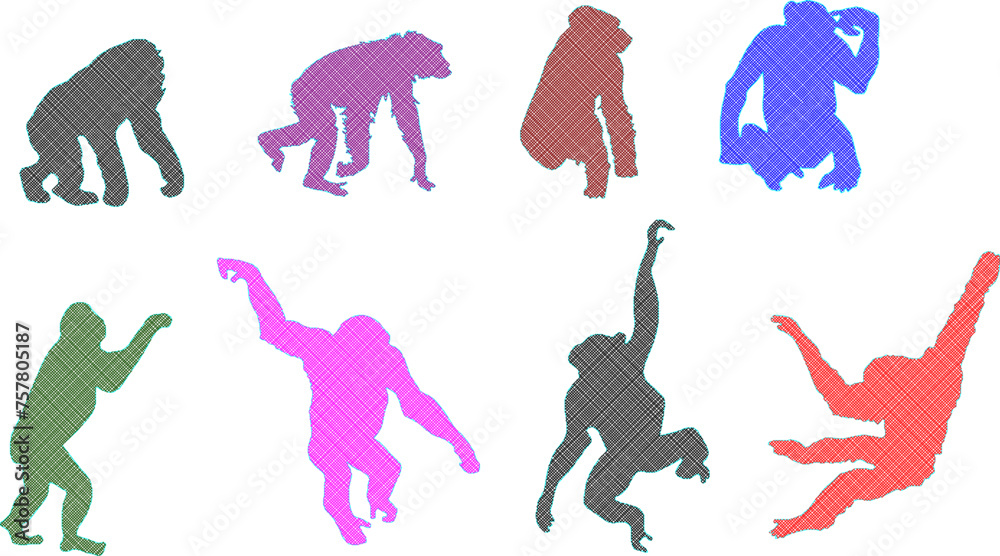 Adobe Illustrator ArtworkSketch detailed design vector illustration of animal silhouette primate chimpanzee monkey playing