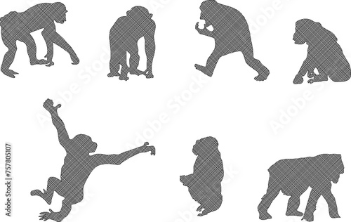 Adobe Illustrator ArtworkSketch detailed design vector illustration of animal silhouette primate chimpanzee monkey playing