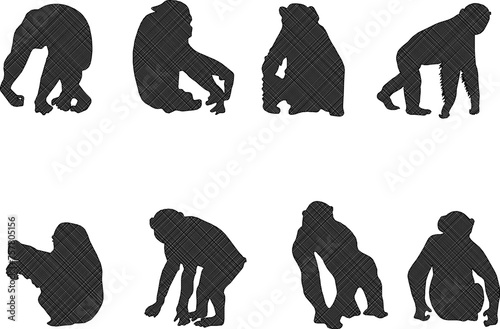 Adobe Illustrator ArtworkSketch detailed design vector illustration of animal silhouette primate chimpanzee monkey playing