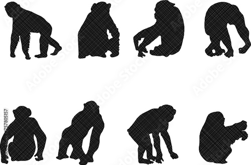 Adobe Illustrator ArtworkSketch detailed design vector illustration of animal silhouette primate chimpanzee monkey playing