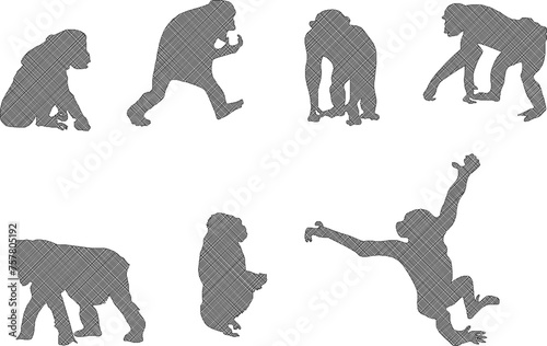 Adobe Illustrator ArtworkSketch detailed design vector illustration of animal silhouette primate chimpanzee monkey playing