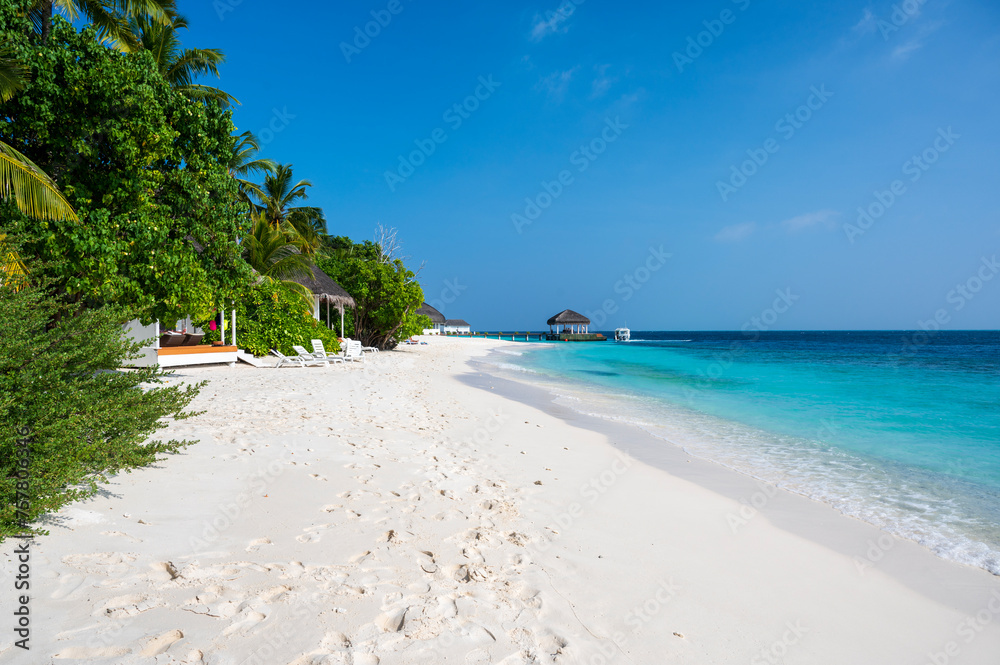 Tropical structure with a thatched roof on a beautiful sandy beach. Dense green forest with palm trees.
