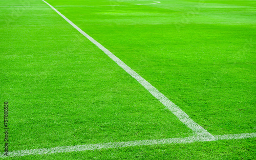 white line in soccer field grass.