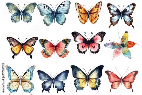 Wallpaper Mural illustrations bright isolated butterflies hand depicting painted watercolor Set background white Torontodigital.ca